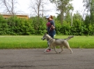 Услуги хендлера Электросталь,Москва и МО