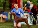 Junior Handler for Your Dog