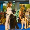 Euro Dog Show в Румынии