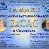 9 декабря 2018 - 2хСАС в Смоленске (РКФ)