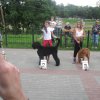 Выставки собак всех пород прошедшие в Белорусии в 2011 году