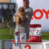 Интернациональная  выставка  собак  "Господин  Великий  Новгород"