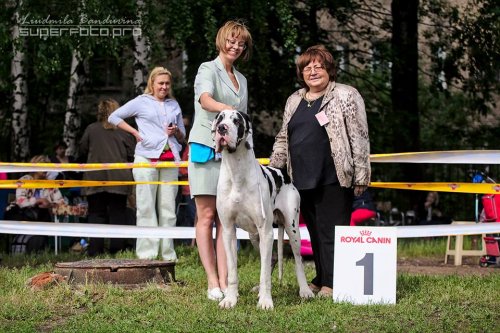 "Звёздный пёс 2014" CAC ЧРКФ и монопородные