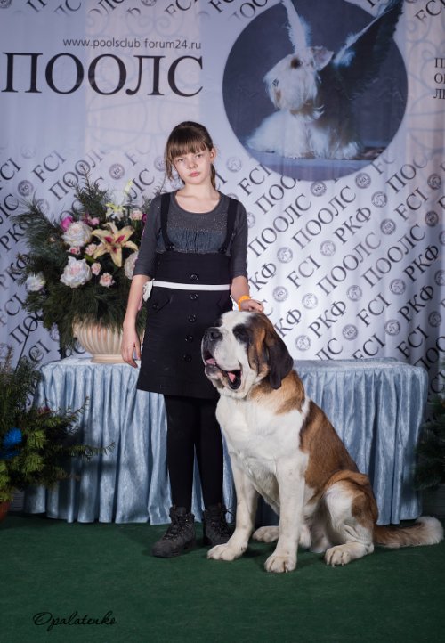 30 ноября 2014 года Национальная выставка собак всех пород ранга - ЧФ "Кубок Золотого Рога" г. Владивосток