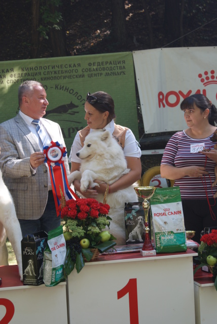 Выставка ранга чемпион РКФ + моно СЕС