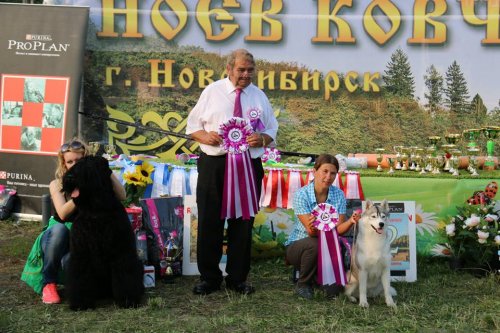 «СДКЦ – НОЕВ КОВЧЕГ 2014»