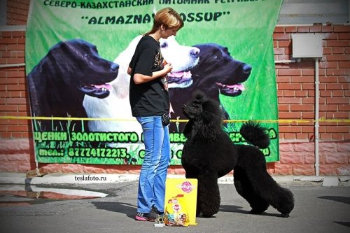 12.07.2014 Казахстан, г. Петропавловск