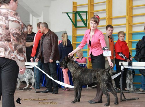 17.05.2015 г.ЧЕЛЯБИНСК "КУБОК ХЕЛСИ"