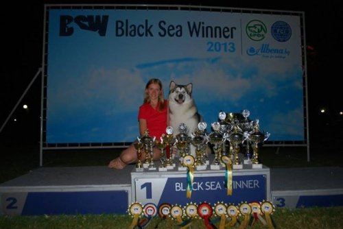 Black Sea Winner 2013