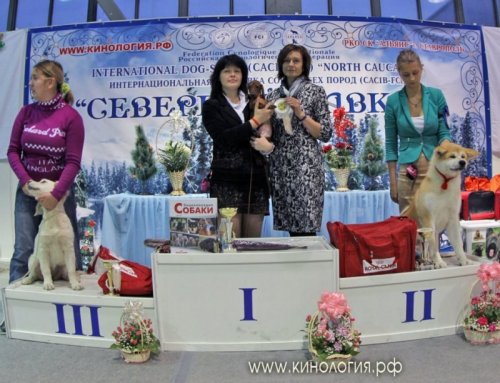 "Северный Кавказ-2012"