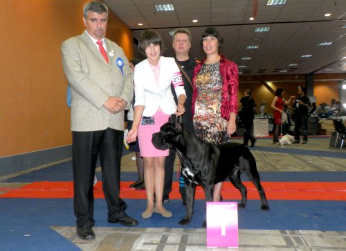 Euro Dog Show 2012