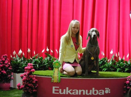 22 и 23 марта Интернациональная выставка собак всех пород "Евразия-2014"