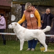 Фото хенддлера - Елена Филькова 