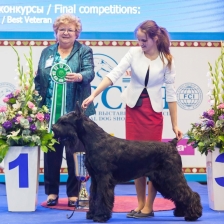 Маргарита Долотова
